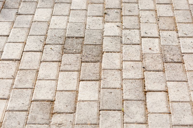 Modern Paver Driveway